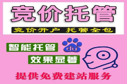 百度推广与社交媒体结合的营销策略：成功案例解读